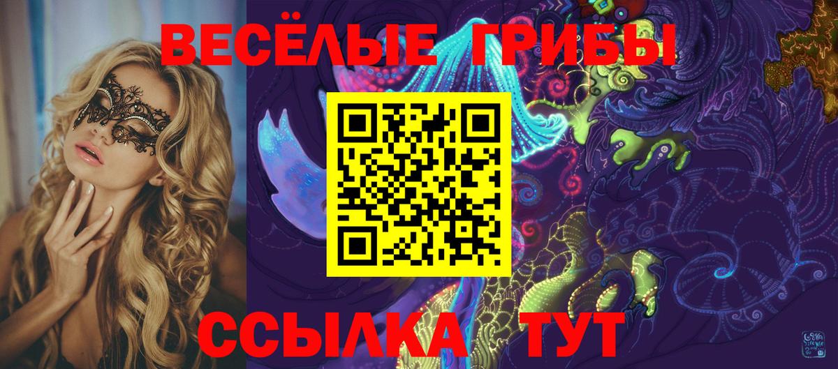 Краснодар  Галлюциногенные грибы GOLDEN TEACHER  Галлюциногенные грибы GOLDEN TEACHER  Вход с VPN 