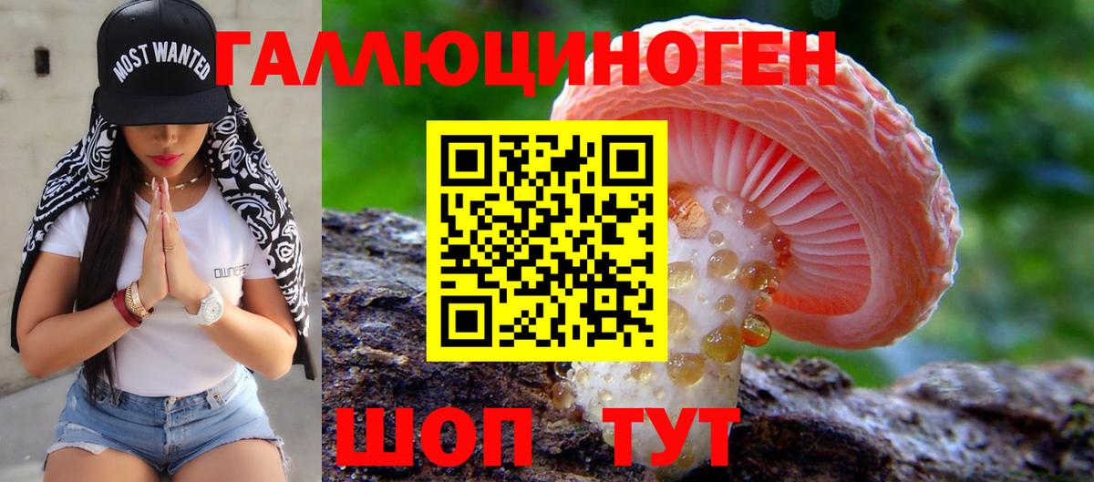 Галлюциногенные грибы GOLDEN TEACHER Краснодар