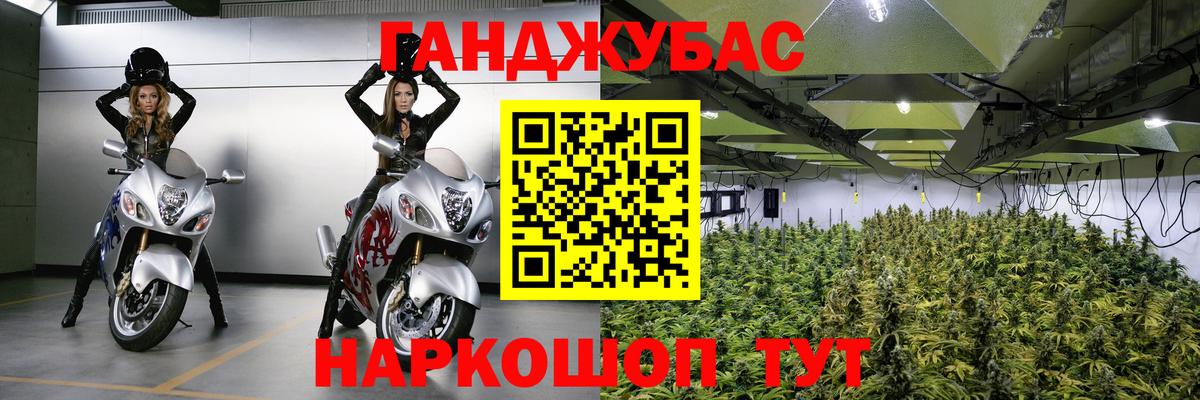 Шишки марихуана план Краснодар